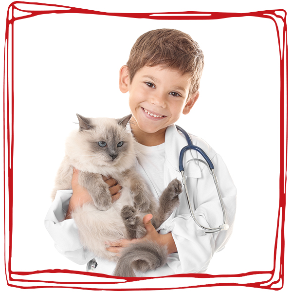 JAUNASIS VETERINARAS