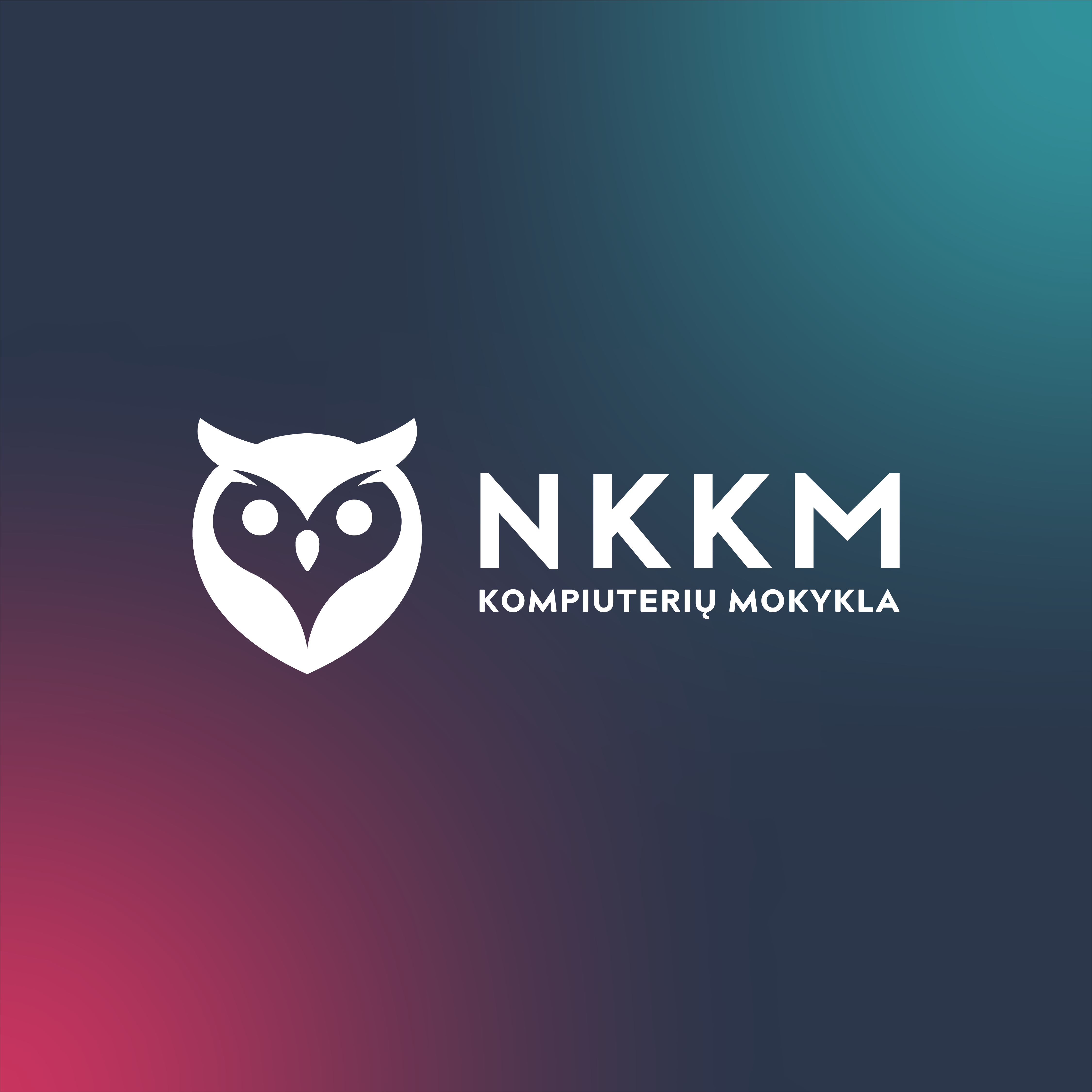 NKKM kompiuterių mokykla