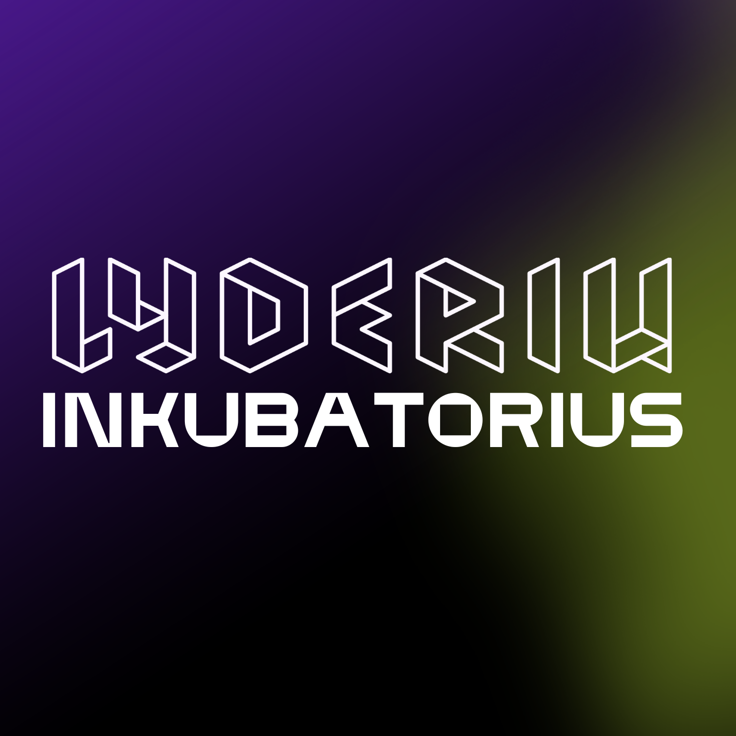 LYDERIŲ INKUBATORIUS
